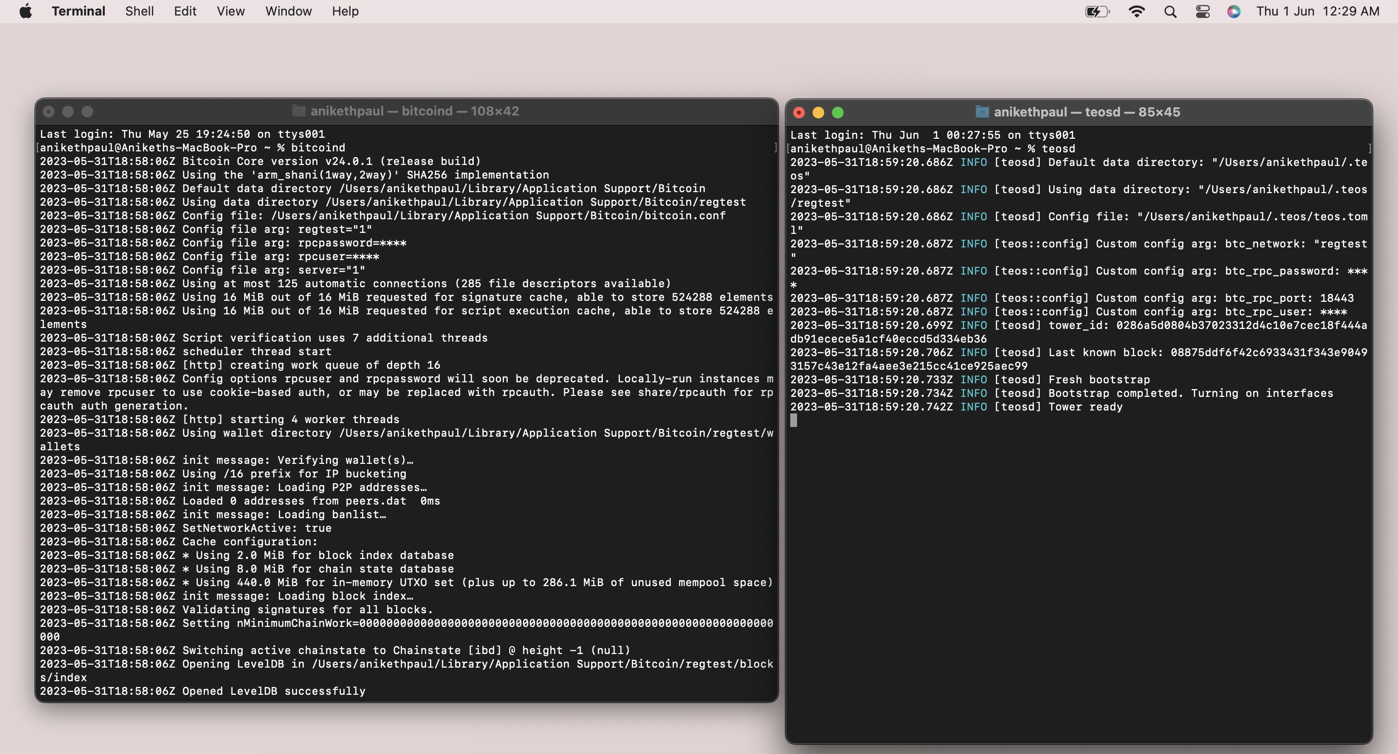 The Eye of Satoshi: Your Personal Bodyguard for Lightning Network Transactions