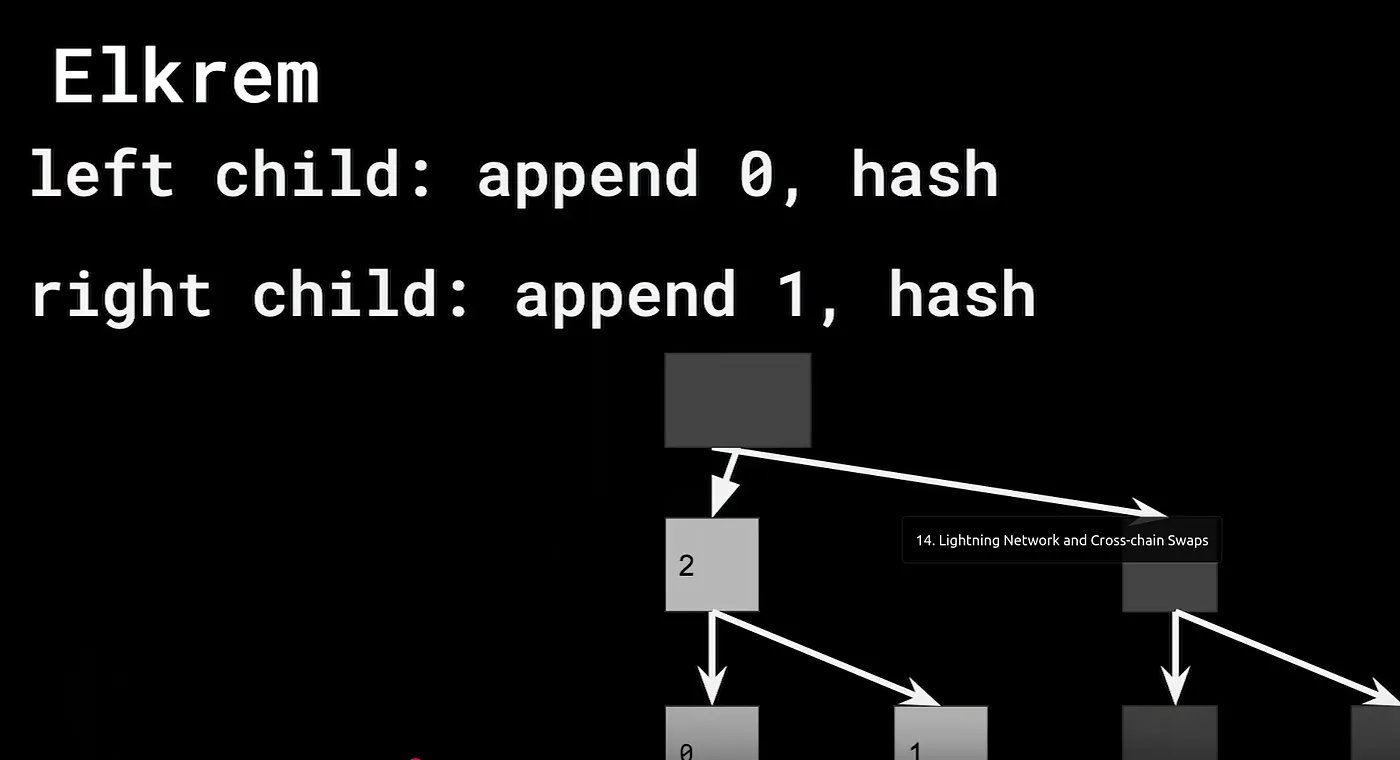 Segment Trees in Lightning networks!